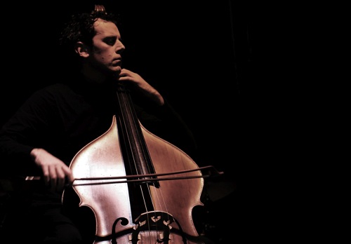 Daniele Roccato Contrabbasso Double Bass